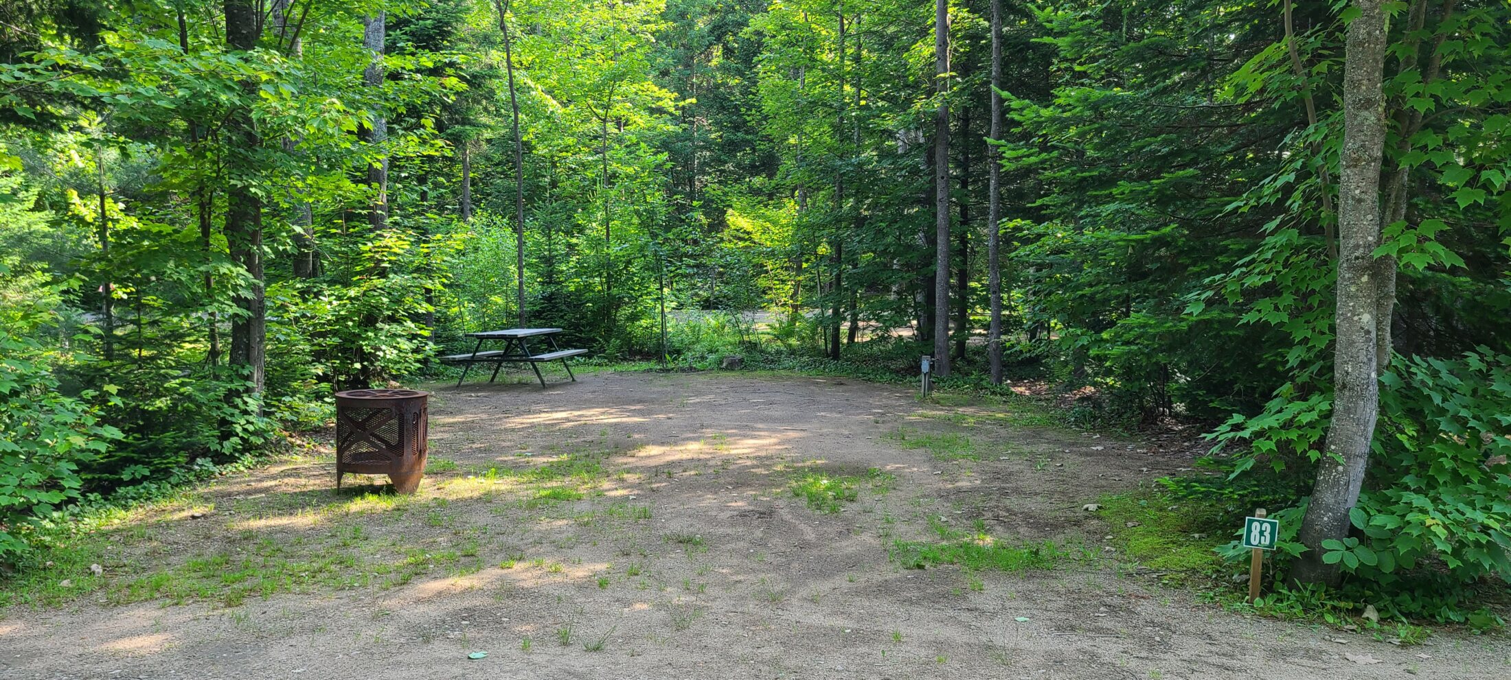 #83.jpg