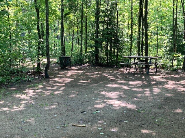 Terrain boisé au Camping du Parc